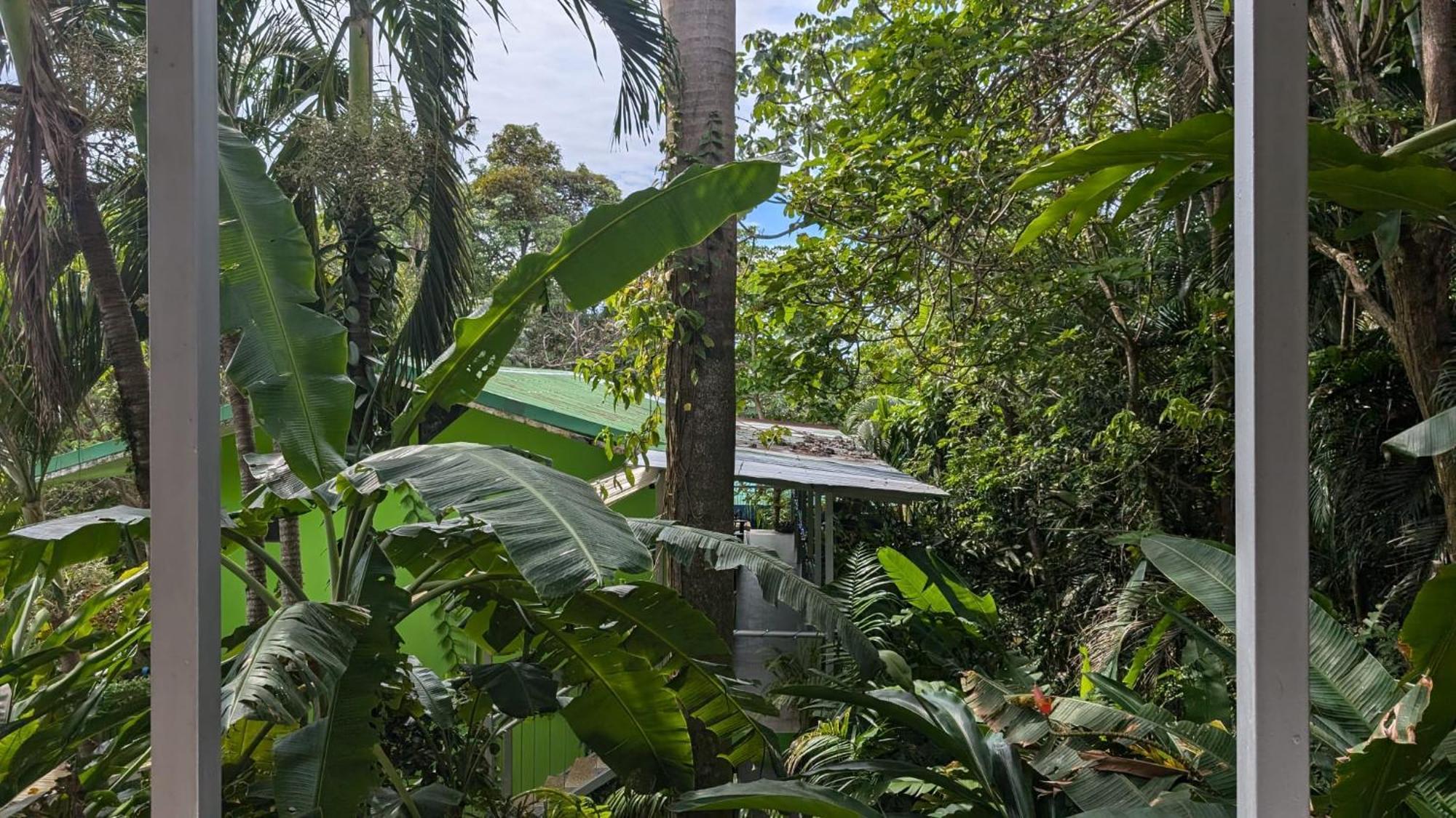 Peace Of Paradise Manuel Antonio Exterior foto
