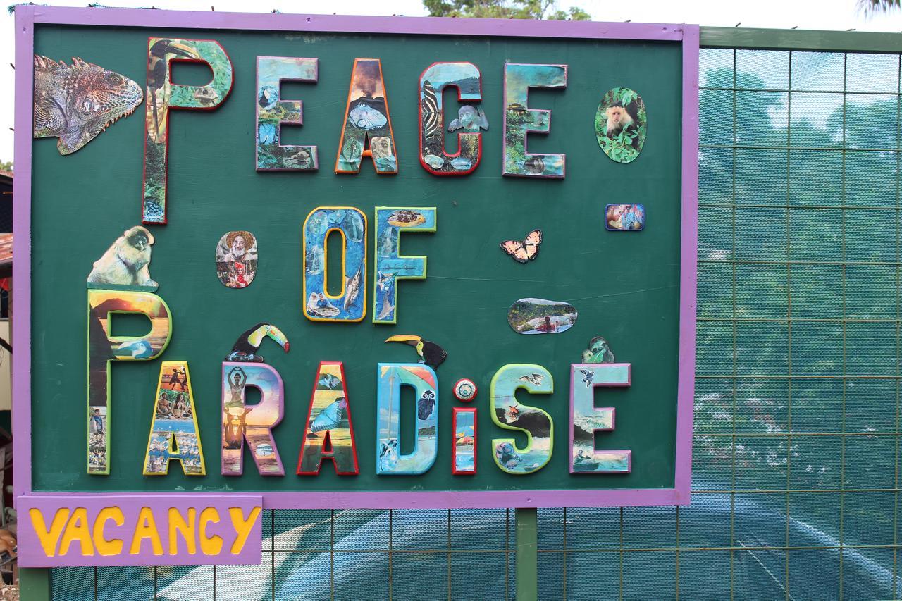 Peace Of Paradise Manuel Antonio Exterior foto
